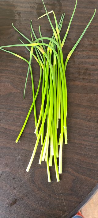 Mmebaik님의 자유주제 · 사진전 작성글 사진