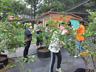 모란님의 작성글 사진