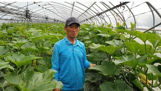 그린톡톡 오계상님의 호박 · 자유게시판 작성글 사진