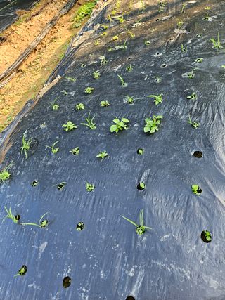 이영재님의 자유주제 · 자유게시판 작성글 사진