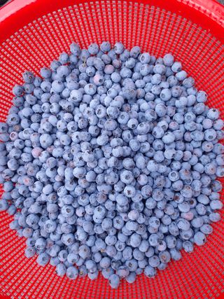 모란님의 작성글 사진