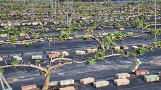 김민철 님의 기타작물 · 자유게시판 작성글 사진