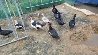 김민철 님의 기타작물 · 자유게시판 작성글 사진