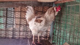 김민철 님의 기타작물 · 자유게시판 작성글 사진