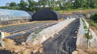 김민철 님의 기타작물 · 자유게시판 작성글 사진