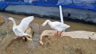 김민철 님의 기타작물 · 자유게시판 작성글 사진