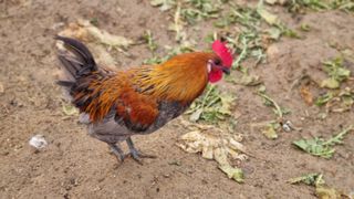 김민철 님의 기타작물 · 자유게시판 작성글 사진