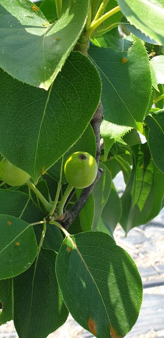 양촌리 2912님의 자유주제 · 사진전 작성글 사진