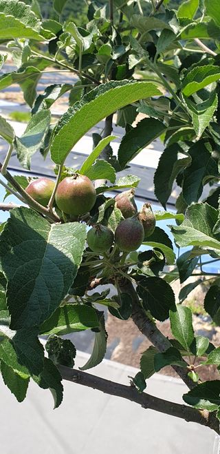 양촌리 2912님의 자유주제 · 사진전 작성글 사진