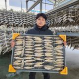 팜모닝 · 게시글 이미지