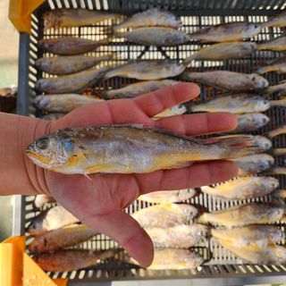 임성환님의 작성글 사진