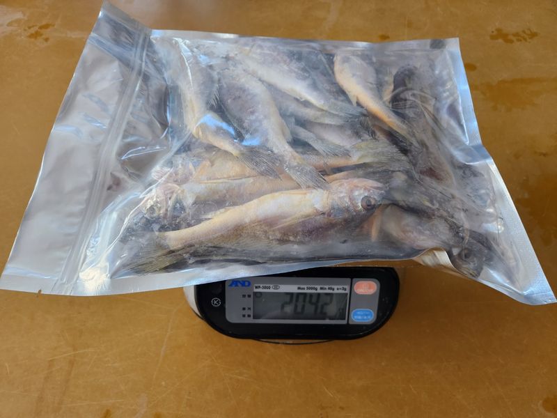 임성환님의 장터 판매 상품 [참조기 굴비 2kg내외 (30마리)] 첨부 사진