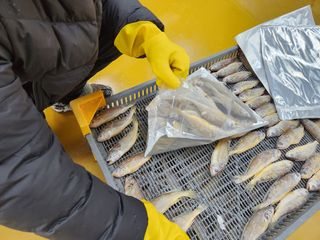 임성환님의 작성글 사진