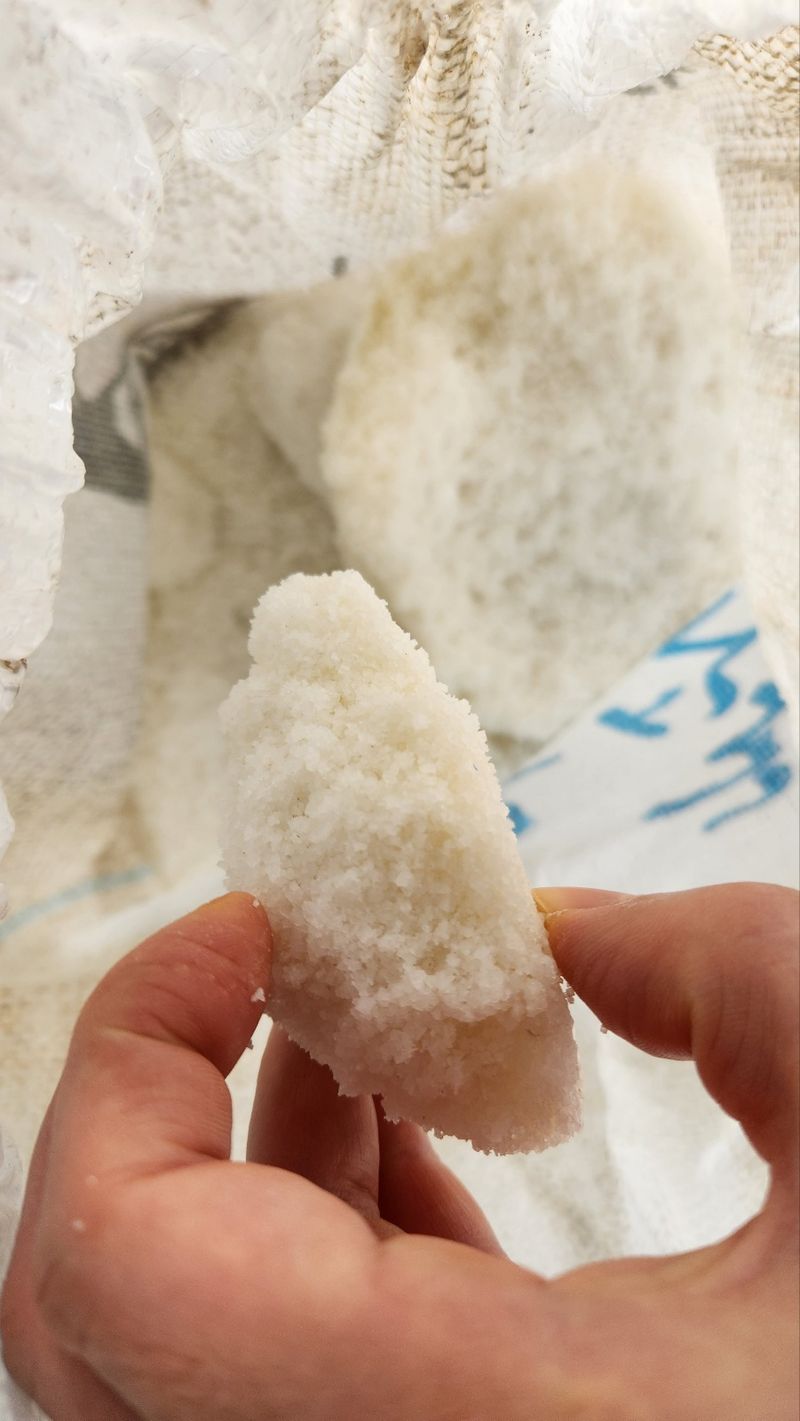 임성환님의 장터 판매 상품 [참조기 굴비 2kg내외 (30마리)] 첨부 사진