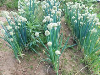 정규상님의 자유주제 · 자유게시판 작성글 사진