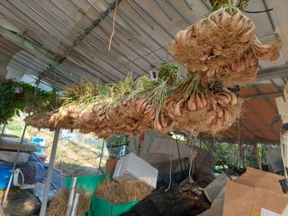 정규상님의 자유주제 · 자유게시판 작성글 사진