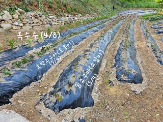 연모 자연의행복님의 자유주제 · 자유게시판 작성글 사진