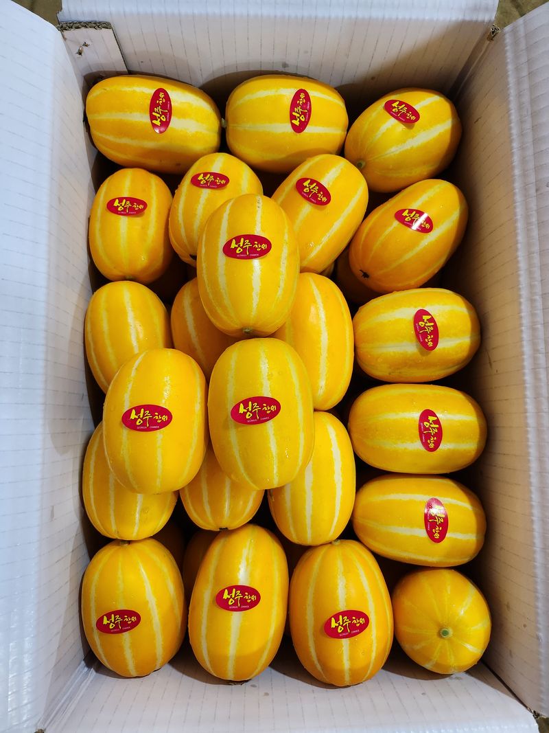 김대현님의 장터 판매 상품 [산지직송 아삭달달 성주참외 가정용 5kg] 첨부 사진