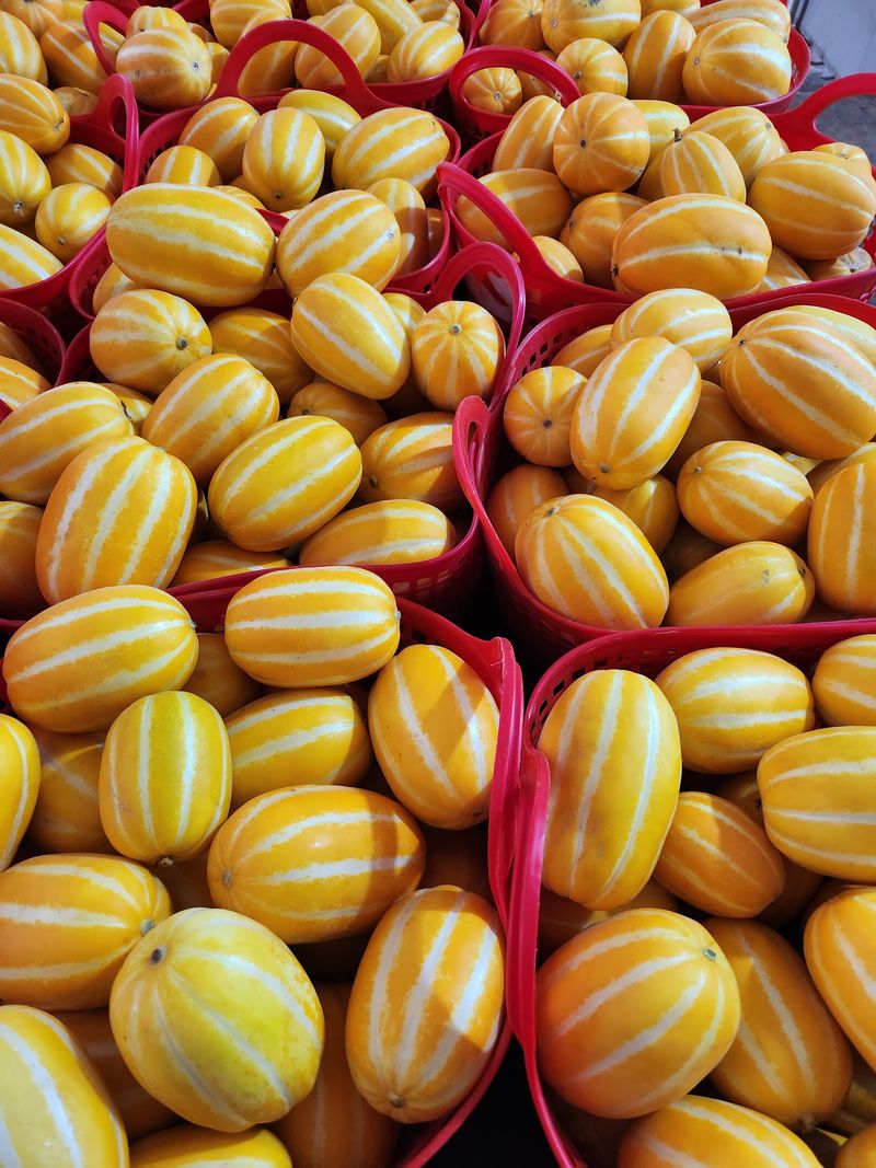 김대현님의 장터 판매 상품 [산지직송 아삭달달 성주참외 가정용 5kg] 첨부 사진