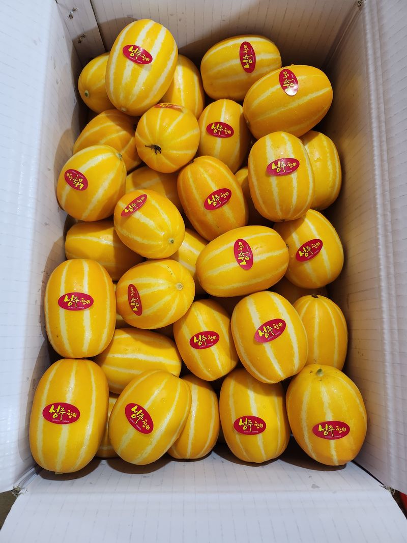 김대현님의 장터 판매 상품 [산지직송 아삭달달 성주참외 가정용 5kg] 첨부 사진