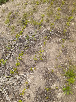 머치자연인님의 기타작물 · 자유게시판 작성글 사진