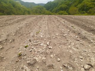 머치자연인님의 기타작물 · 자유게시판 작성글 사진