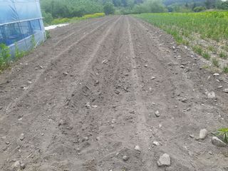 머치자연인님의 기타작물 · 자유게시판 작성글 사진