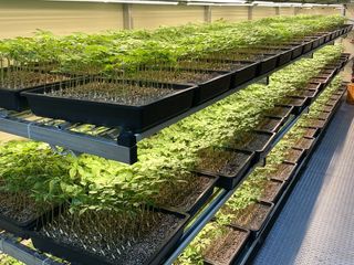 알 수 없음님의 작성글 사진