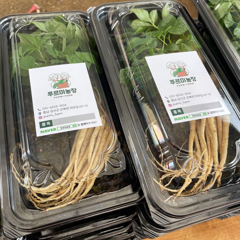 알 수 없음님의 장터 판매 상품 [가족 건강 지인 건강은 새싹삼으로🌱] 첨부 사진