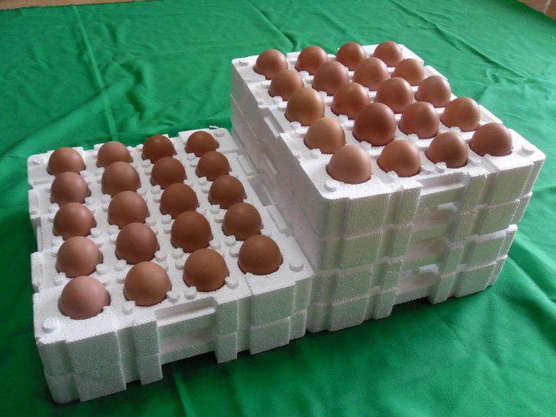 계초님의 장터 판매 상품 [환경번호1번계란 키토산방사유정란60구] 첨부 사진