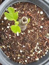 팜모닝 · 게시글 이미지