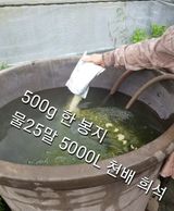 그린톡톡 오계상님의 귤·비료•농약 작성글 사진