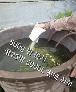 그린톡톡 오계상님의 귤 · 비료•농약 작성글 사진