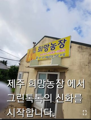 그린톡톡 오계상님의 귤 · 비료•농약 작성글 사진