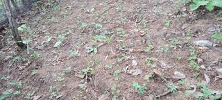 김학돈님의 자유주제 · 자유게시판 작성글 사진