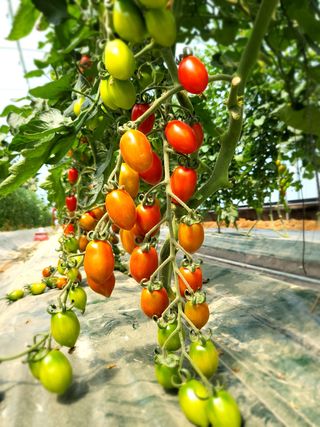 한미님의 자유주제 · 자유게시판 작성글 사진