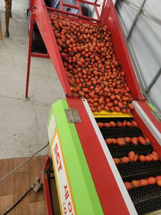 한미님의 자유주제 · 자유게시판 작성글 사진