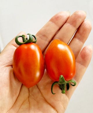 한미님의 자유주제 · 자유게시판 작성글 사진