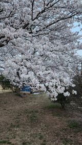 팜모닝 자유주제·사진전 게시글 이미지