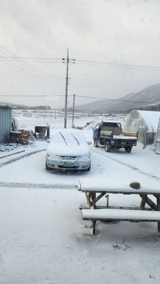 백호순(후추)님의 자유주제 · 사진전 작성글 사진
