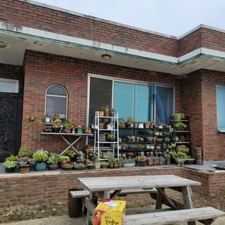 백호순(후추)님의 자유주제 · 사진전 작성글 사진