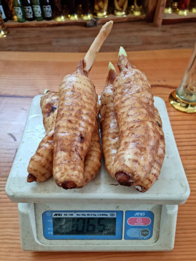 박미진(산약초농원)님의 장터 판매 상품 [천마 1kg] 첨부 사진