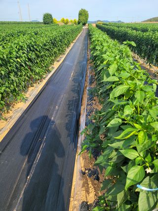박수열님의 자유주제 · 사진전 작성글 사진