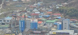 조정분(사랑이엄마)님의 자유주제 · 사진전 작성글 사진