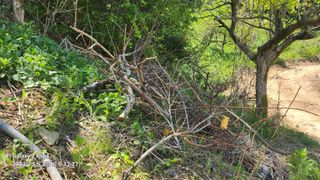 태화님의 우리동네 · 동네수다 작성글 사진