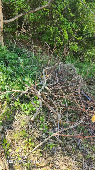 태화님의 우리동네 · 동네수다 작성글 사진