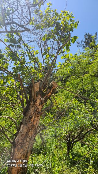 태화님의 우리동네 · 동네수다 작성글 사진