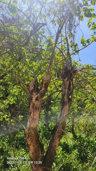 태화님의 우리동네 · 동네수다 작성글 사진