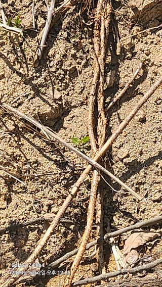 태화님의 우리동네 · 동네수다 작성글 사진