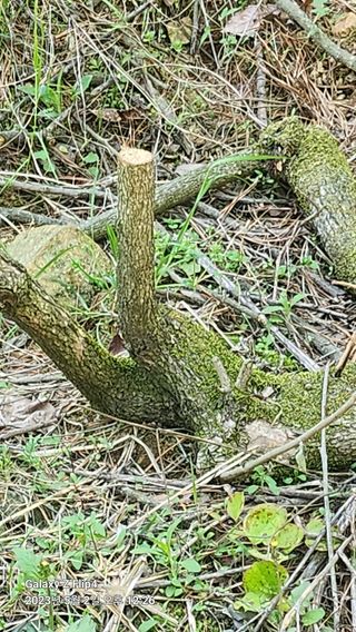태화님의 우리동네 · 동네수다 작성글 사진